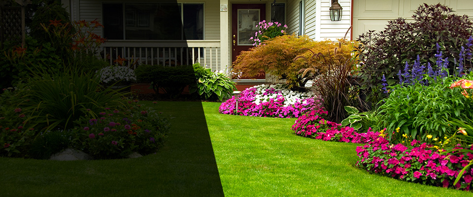 Tallulah Landscapers