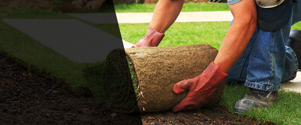 Tallulah Landscapers